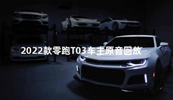2022款零跑T03车主原音回放 再现调查现场